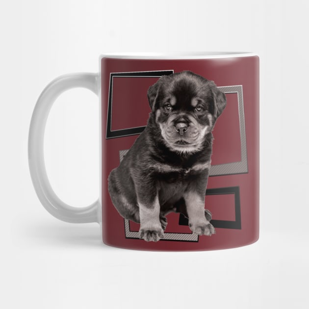 Rottweiler the boss dog by TeeText